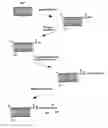 Fig. 01 - CARBON NANOTUBE COMPOSITE AND PREPARATION METHOD OF THE SAME