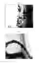 Fig. 05 - CARBON NANOTUBE COMPOSITE AND PREPARATION METHOD OF THE SAME