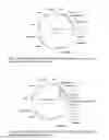 Fig. 02 - Plants with Increased Yield by Increasing or Generating One or More Activities in a Plant or a Part Thereof