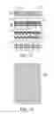 Fig. 10 - Liquid crystal display device