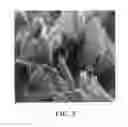 Fig. 03 - Spacer-modified nano graphene electrodes for supercapacitors