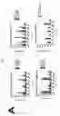 Fig. 25 - Dock-and-lock (DNL) complexes for therapeutic and diagnostic use