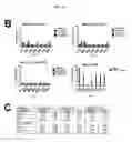 Fig. 26 - Dock-and-lock (DNL) complexes for therapeutic and diagnostic use