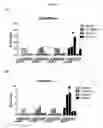Fig. 27 - Dock-and-lock (DNL) complexes for therapeutic and diagnostic use