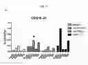 Fig. 28 - Dock-and-lock (DNL) complexes for therapeutic and diagnostic use