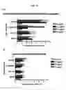 Fig. 32 - Dock-and-lock (DNL) complexes for therapeutic and diagnostic use
