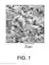 Fig. 02 - Ceramic particles with controlled pore and/or microsphere placement and/or size and method of making same