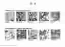 Fig. 09 - Growth factor-mimicking peptides and uses thereof