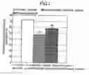 Fig. 02 - Composition for improving brain function and method for improving brain function