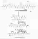 Fig. 09 - Neurotrophic peptides