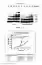 Fig. 07 - Compound that can inhibit UBC13-UEV interactions, pharmaceutical compositions and therapeutic uses