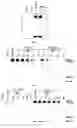 Fig. 02 - Substituted indoles and a method for the production and use thereof