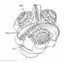 Fig. 01 - High-shear roller cone and PDC hybrid bit