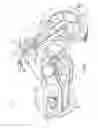 Fig. 02 - Flywheel assemblies and vehicles including same