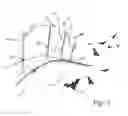 Fig. 02 - Animal-adapted illumination method and system