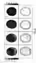 Fig. 07 - Transceive surface coil array for magnetic resonance imaging and spectroscopy