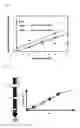 Fig. 02 - Pharmaceutical solid preparation