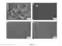 Fig. 06 - Superhydrophobic poly(dimethylsiloxane) and methods for making the same