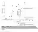 Fig. 04 - Vitrified composition which preserves biological materials