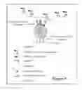 Fig. 06 - Lateral flow based methods and assays for rapid and inexpensive diagnostic tests