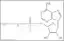 Fig. 06 - Design, synthesis and use of synthetic nucleotides comprising charge mass tags