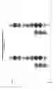 Fig. 02 - Methods and kits for nucleic acid sequencing