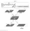 Fig. 02 - Method for live-cell activity assay