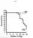 Fig. 02 - USE OF BIGLYCAN IN THE ASSESSMENT OF HEART FAILURE