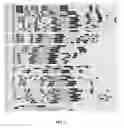 Fig. 14 - METHODS AND COMPOSITIONS FOR THE INTRODUCTION AND REGULATED EXPRESSION OF GENES IN PLANTS