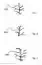 Fig. 08 - Method and apparatus for obtaining an image of an ocular feature
