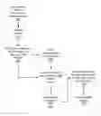 Fig. 01 - Minimally Processing Displayed Images Captured From A Burst