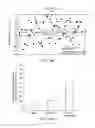 Fig. 11 - MICROTRENCH AND TUMOUR PROLIFERATION ASSAY