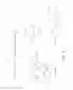 Fig. 09 - ENDOPROSTHESES