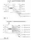 Fig. 22 - Data storage system and method by shredding and deshredding