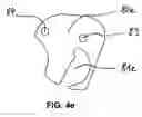 Fig. 09 - Closure lock