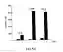 Fig. 09 - NUCLEOTIDE SEQUENCE ENCODING A MODULATOR OF NF-KB