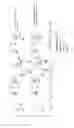 Fig. 04 - POLYMORPHIC FORM OF CALCIUM ACAMPROSATE