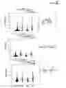 Fig. 03 - COMPOSITION AND METHOD FOR DIAGNOSING FUNGAL DISEASE