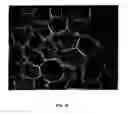 Fig. 11 - High performance reticulated elastomeric matrix preparation, properties, reinforcement, and use in surgical devices, tissue augmentation and/or tissue repair