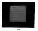 Fig. 14 - High performance reticulated elastomeric matrix preparation, properties, reinforcement, and use in surgical devices, tissue augmentation and/or tissue repair