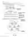 Fig. 04 - Agile network protocol for secure communications using secure domain names