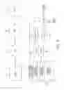Fig. 16 - Agile network protocol for secure communications using secure domain names