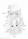 Fig. 01 - Swayable and retractable shower