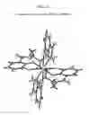Fig. 19 - RADIOPHARMACEUTICAL COMPLEXES