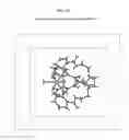 Fig. 20 - RADIOPHARMACEUTICAL COMPLEXES