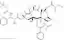 Fig. 41 - POLYMER-AGENT CONJUGATES, PARTICLES, COMPOSITIONS, AND RELATED METHODS OF USE