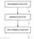 Fig. 01 - SPARKLING ALCOHOLIC BEVERAGE, AND METHOD FOR PRODUCTION THEREOF