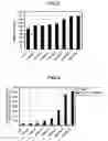 Fig. 05 - SPARKLING ALCOHOLIC BEVERAGE, AND METHOD FOR PRODUCTION THEREOF