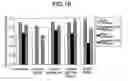 Fig. 11 - SPARKLING ALCOHOLIC BEVERAGE, AND METHOD FOR PRODUCTION THEREOF