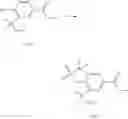 Fig. 366 - Spirocyclic GPR40 modulators